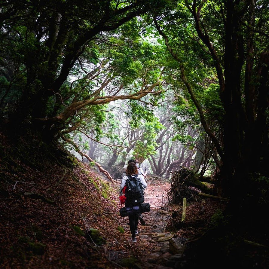 🏞️ 시오즈카 고원(塩塚高原) 이미지 5